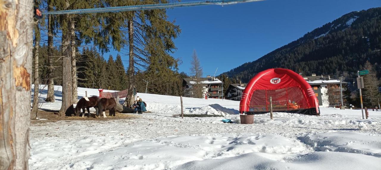 Studio Appartement Avec Piscine, Ski Porte Du Soleil Morgins, Ps3 Games, Wash & Bring Sheets מראה חיצוני תמונה